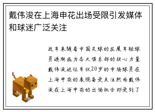 戴伟浚在上海申花出场受限引发媒体和球迷广泛关注 戴伟浚在上海申花出场受限引发媒体和球迷广泛关注